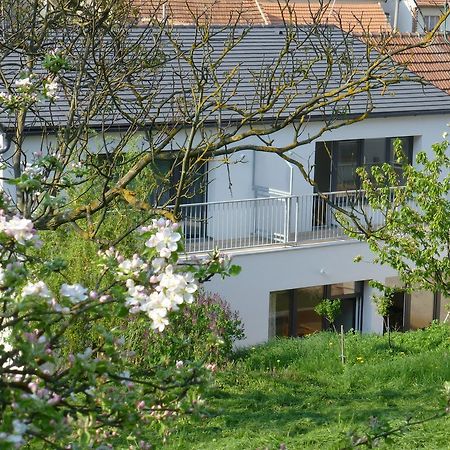 Pod Králičím vrchem Apartamento Milovice  Exterior foto
